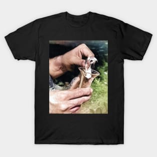 colorized vintage photo of snake venom extraction T-Shirt